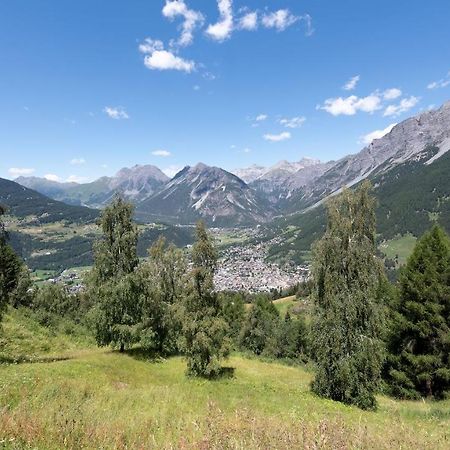 Italianway - Ciuk 11 Lejlighed Bormio Eksteriør billede