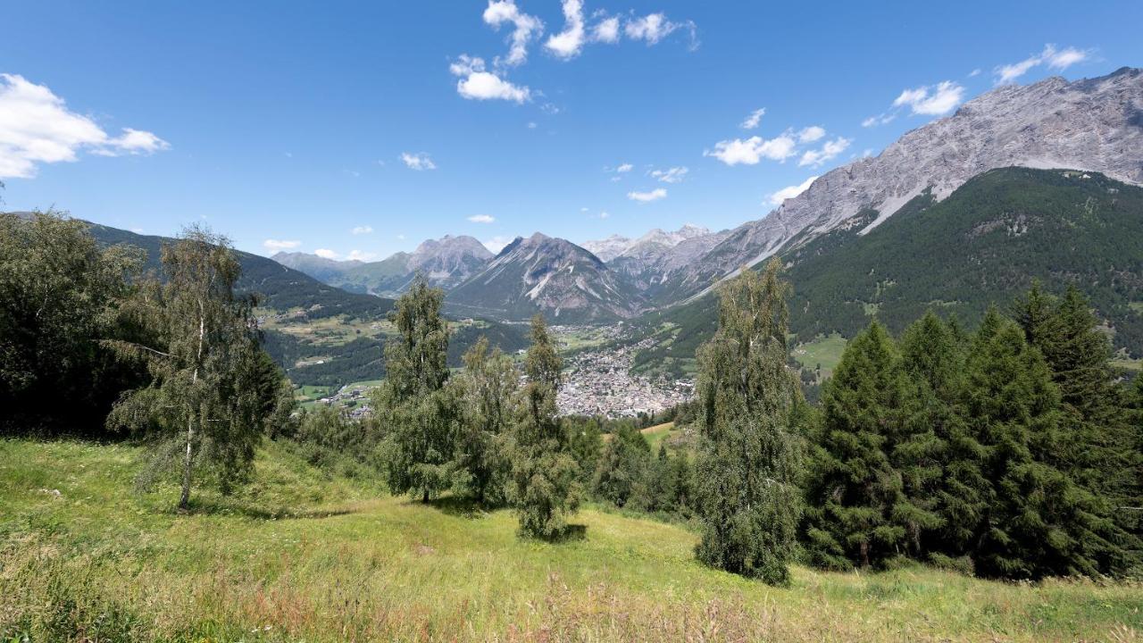 Italianway - Ciuk 11 Lejlighed Bormio Eksteriør billede